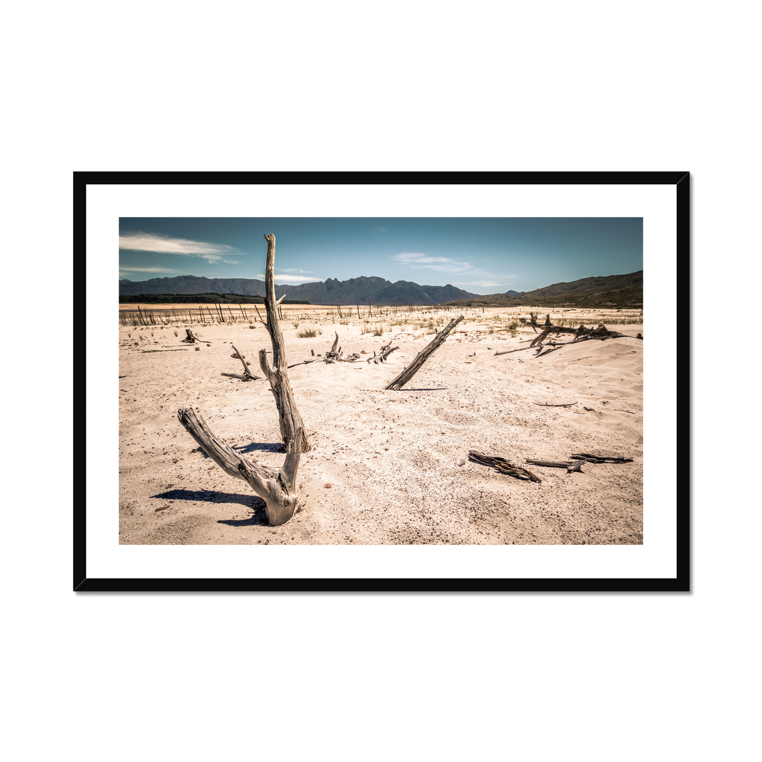 This is a photo of Wood, Driftwood, Outdoors, Ground, Nature, Soil