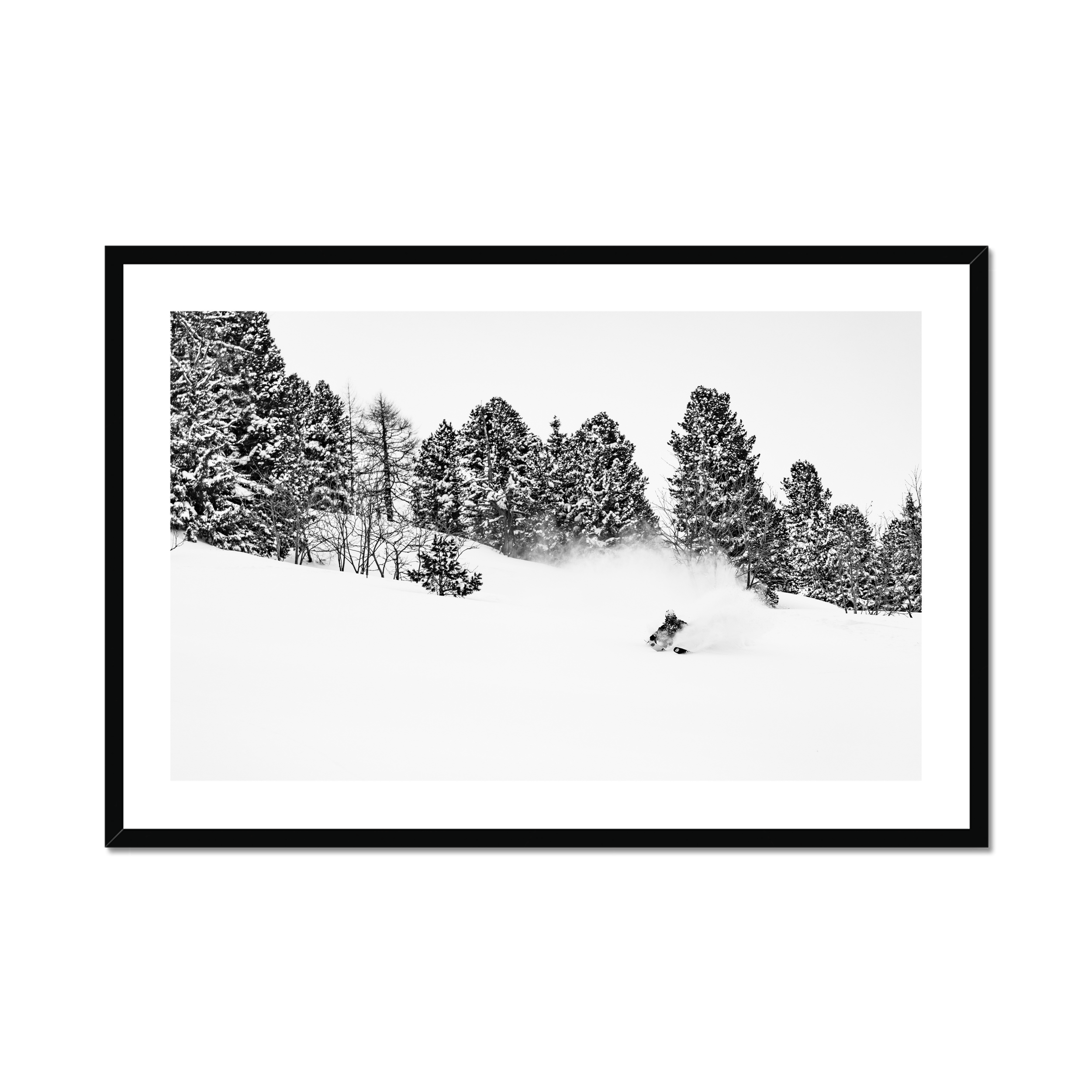 This is a photo of Plant, Tree, Fir, Outdoors, Nature, Person, Vegetation, Snow, Winter, Conifer